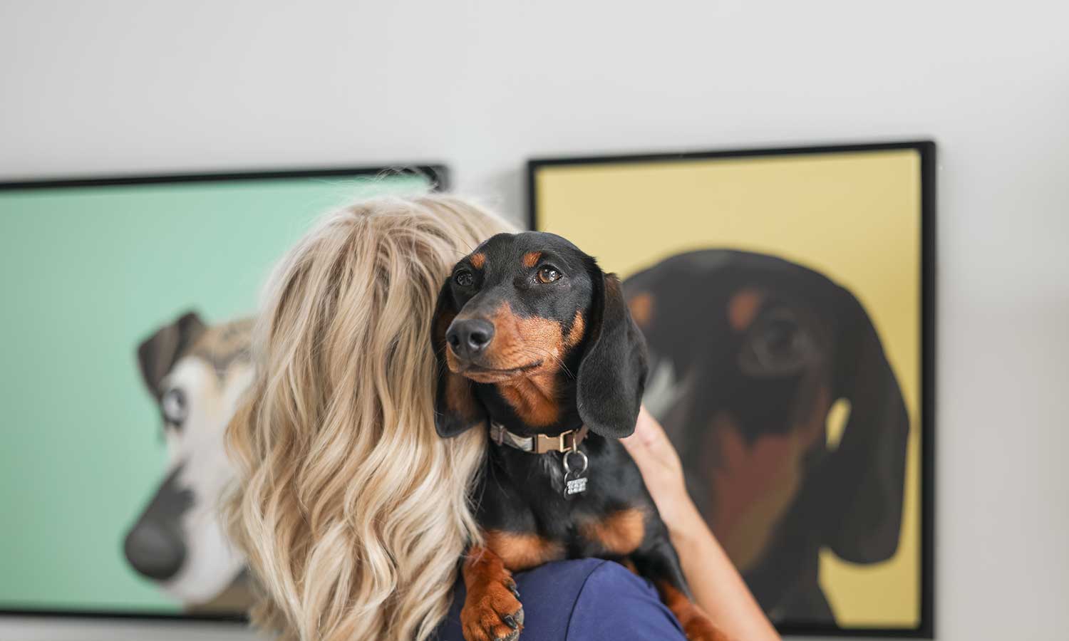 Dog being held in our office