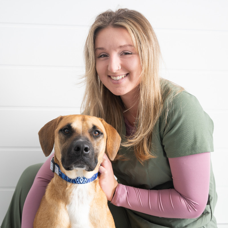 Isabella B., Veterinary Assistant Isabella B., Veterinary Assistant